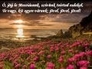 337265_98947_n_1