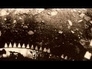 337502_31330_n_1