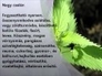337620_81218_n_1