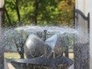 339714_92817_n_1