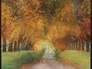 330560_87250_n_2