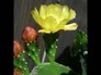330563_34873_n_1