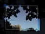 346505_44354_n_1