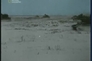 346980_76038_n_4