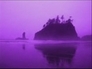 34498_356879_n_2