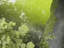 34758_155456_n_2