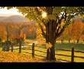 355157_22690_n_1