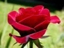 355909_95038_n_1