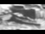 356374_23891_n_1