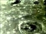 356376_24911_n_1