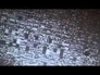356379_88098_n_1