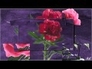 359201_64164_n_1