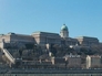 35461_386849_n_2