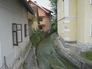 35634_625865_n_2
