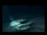 362751_26313_n_1