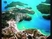 Beautiful Greek Islands  -  Helena Paparizou