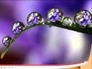 365798_32490_n_1