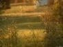 365825_86187_n_1