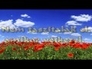 366217_92731_n_1