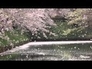 306279_65718_n_1