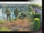 306794_87986_n_4
