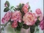 373542_25897_n_1