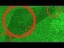 378228_28798_n_1