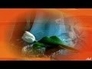 379078_35084_n_1