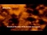 379562_97977_n_1