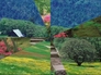 37146_757569_n_1