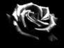 383824_83880_n_1