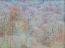385808_11849_n_2