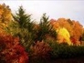 387916_30933_n_1
