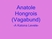 Anatole Hongrois- A Katona Levele