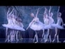 389284_43145_n_1