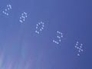 389359_66312_n_1
