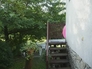 38545_504501_n_2