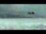 391195_96523_n_1
