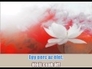 391541_89069_n_1