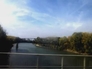 393011_86867_n_4