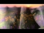 393918_74072_n_1
