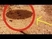 UFO Taped By Mars Curiosity Rover