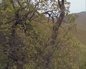 396980_65048_n_3