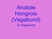 Anatole Hongrois- A Vagabund