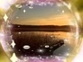397483_43929_n_1