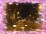 397749_90996_n_1