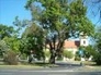 397774_27066_n_1