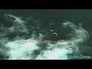 398505_11135_n_1
