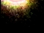 390274_77594_n_1