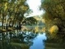 390535_15545_n_1